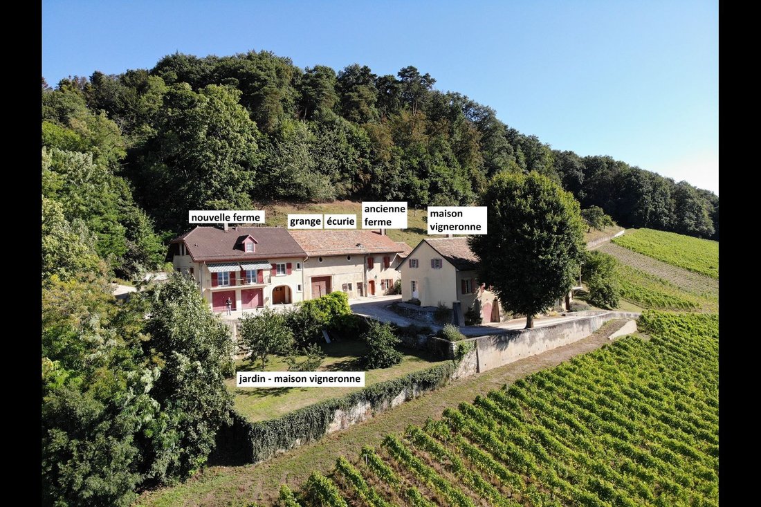 Haus in Luins, Waadt, Schweiz 3 - 18070230