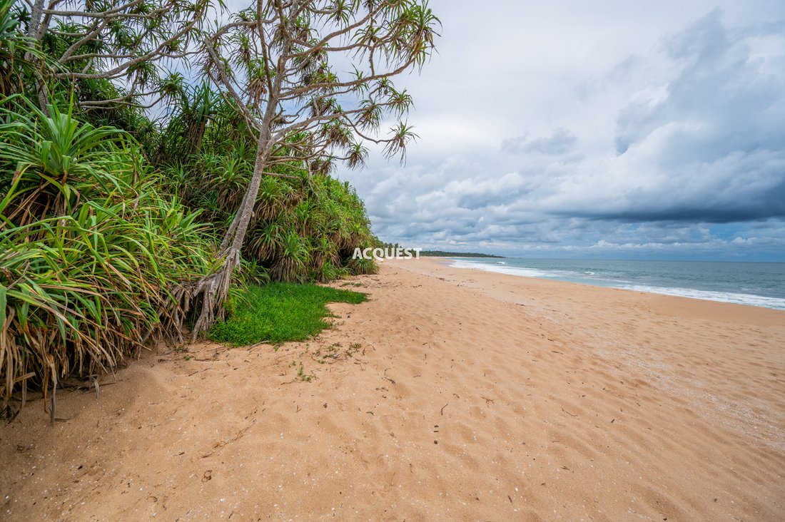 Land in Netolpitiya, Southern Province, Sri Lanka 5 - 18070354