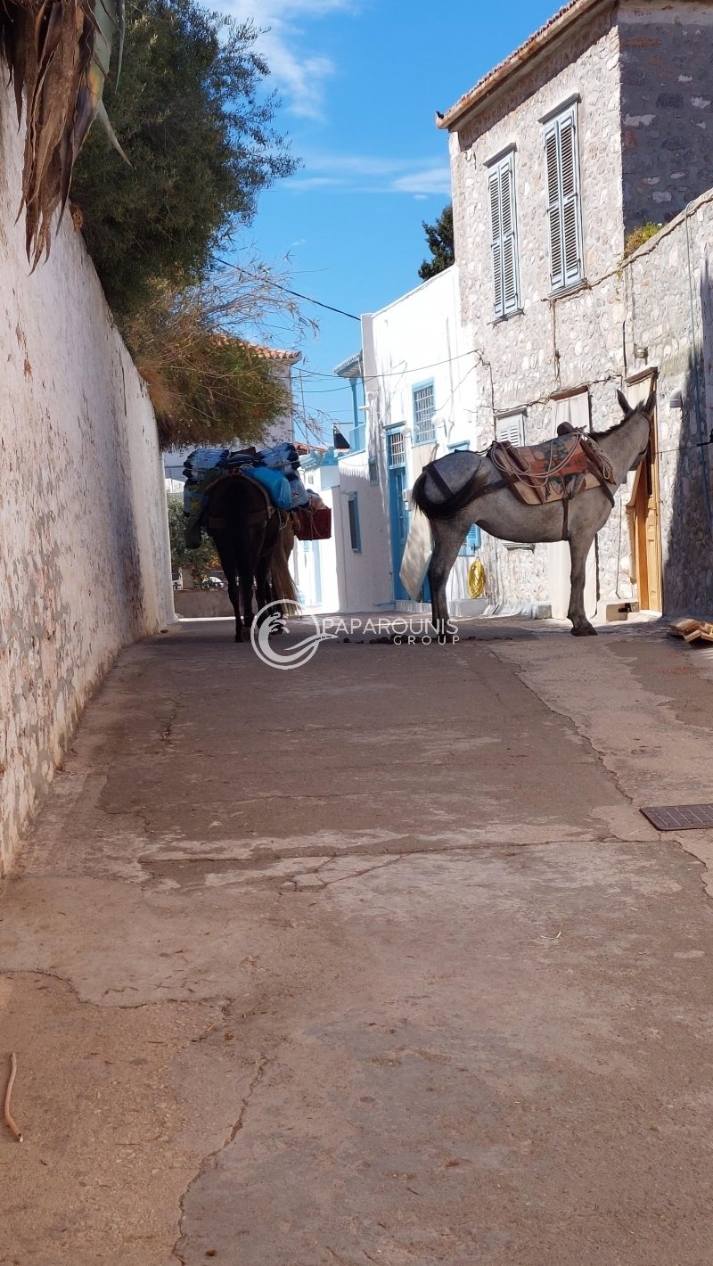 House in Hydra, Attica, Greece 3 - 18070888
