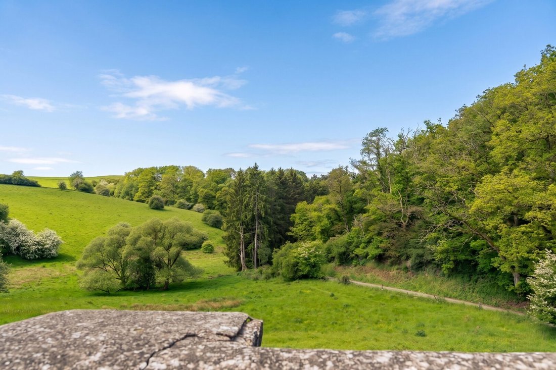 Farm Ranch in Somme-Leuze, Wallonia, Belgium 4 - 18070634