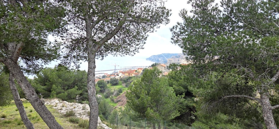 Villa in 16e Arrondissement, Marseille, France 5 - 18070707