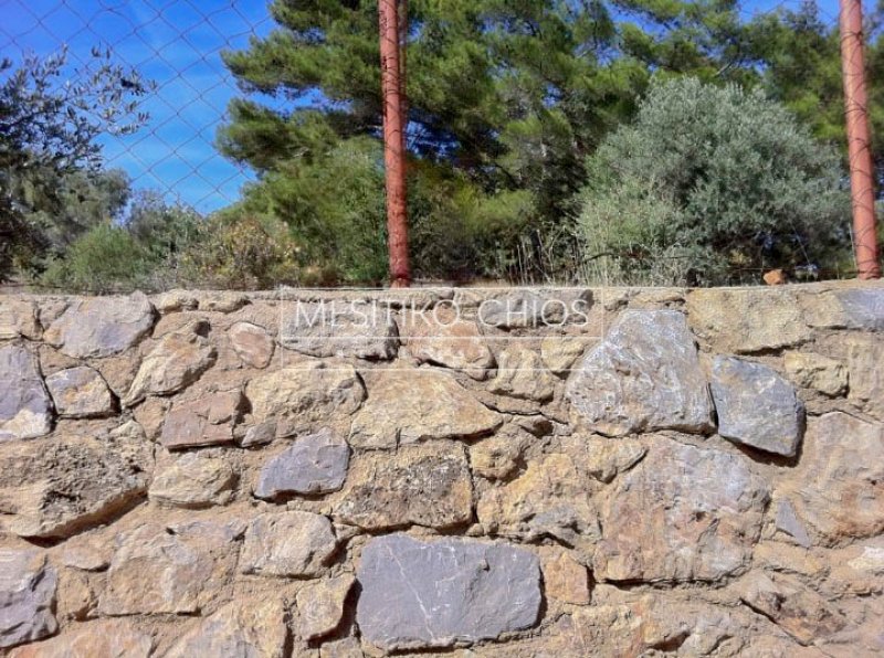 Land in Chios, Aegean, Greece 5 - 18070881