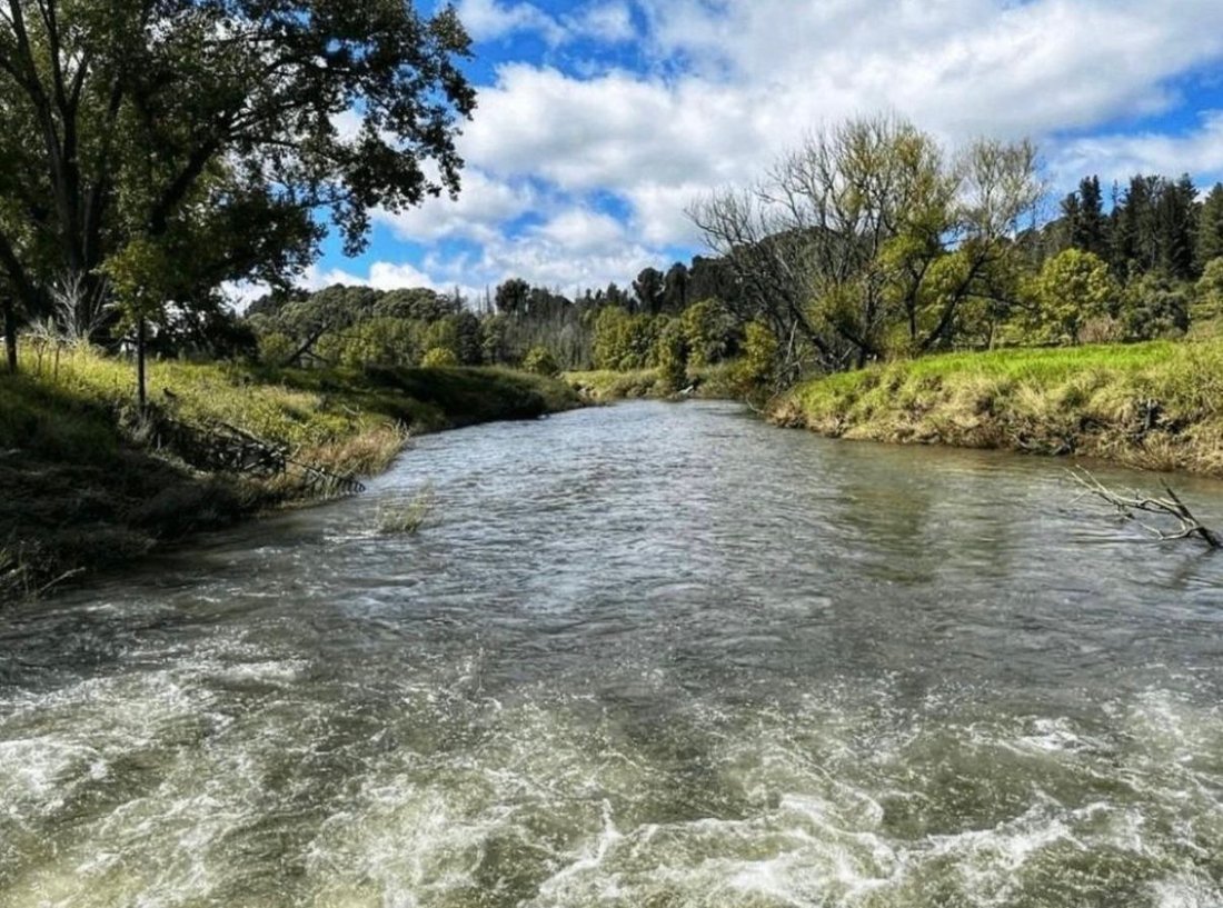 Farm Ranch in Nottingham Road, KwaZulu-Natal, South Africa 4 - 18070878