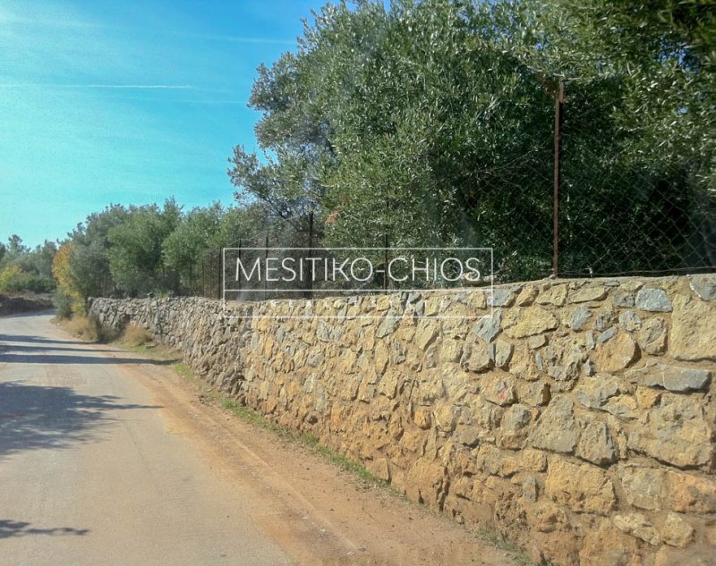 Land in Chios, Aegean, Greece 4 - 18070881