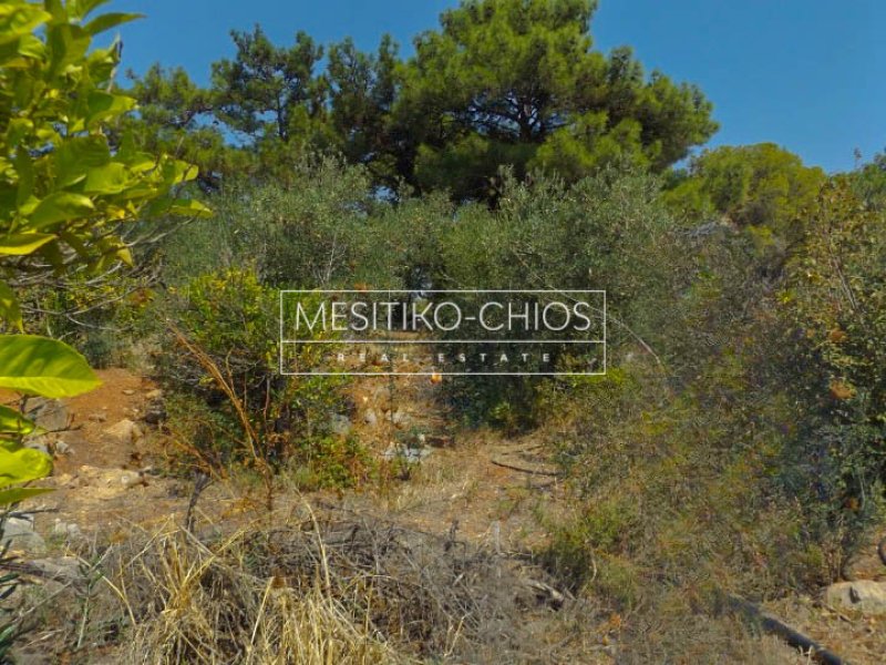 Land in Chios, Aegean, Greece 3 - 18070881