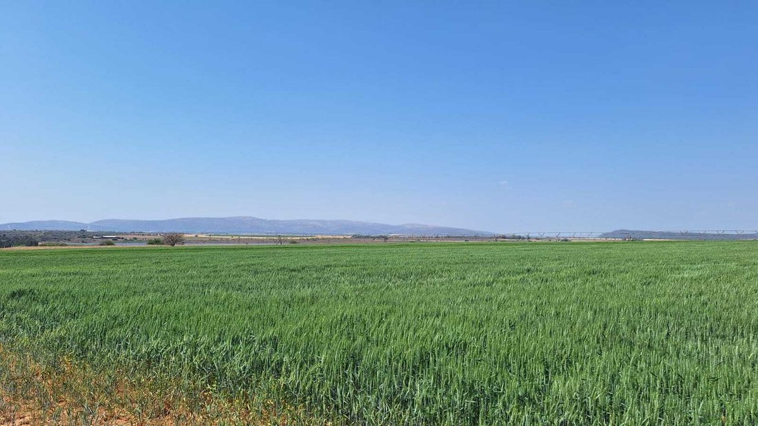 Farm Ranch in Modimolle Local Municipality, Limpopo, South Africa 2 - 18070883