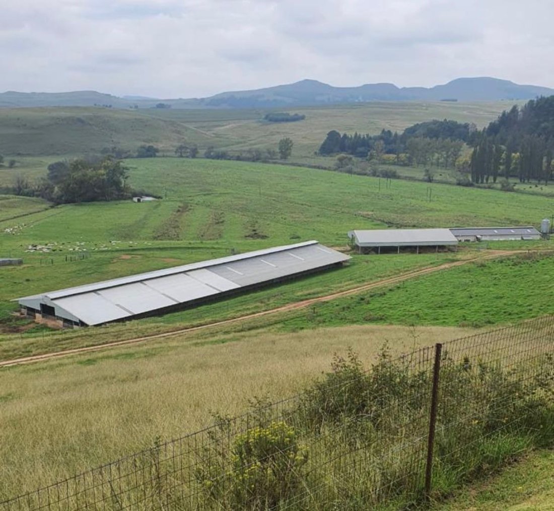 Farm Ranch in Nottingham Road, KwaZulu-Natal, South Africa 5 - 18070878