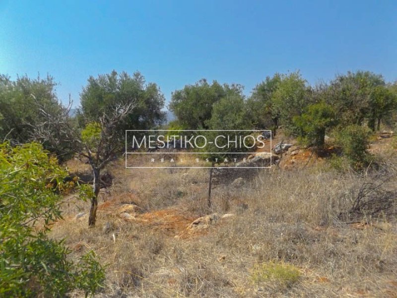 Land in Chios, Aegean, Greece 1 - 18070881