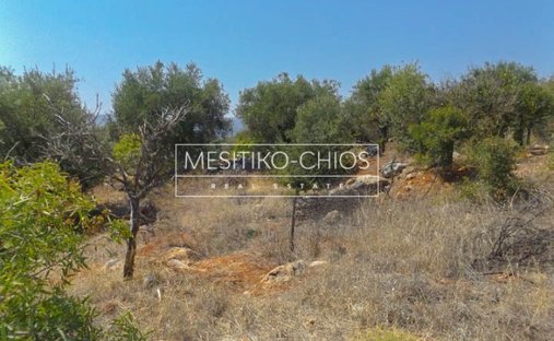 Land in Chios, Aegean, Griechenland 1