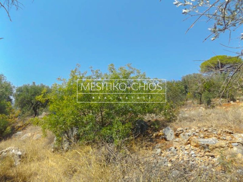 Land in Chios, Aegean, Greece 2 - 18070881