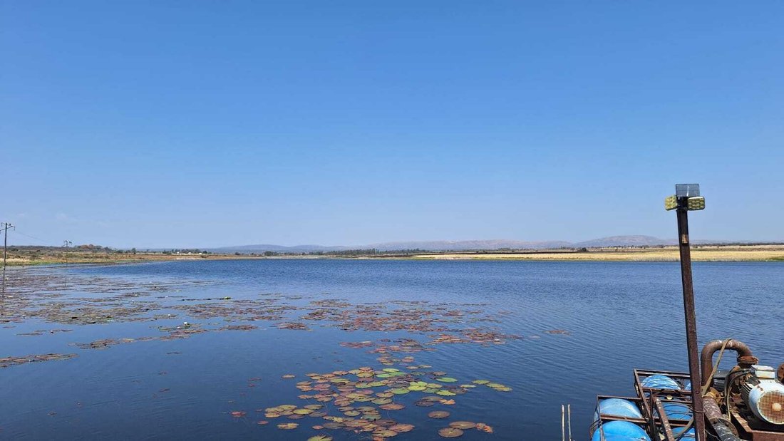 Farm Ranch in Modimolle Local Municipality, Limpopo, South Africa 4 - 18070883