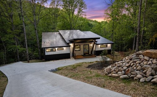 Maison à Blue Ridge, Géorgie, États-Unis 1