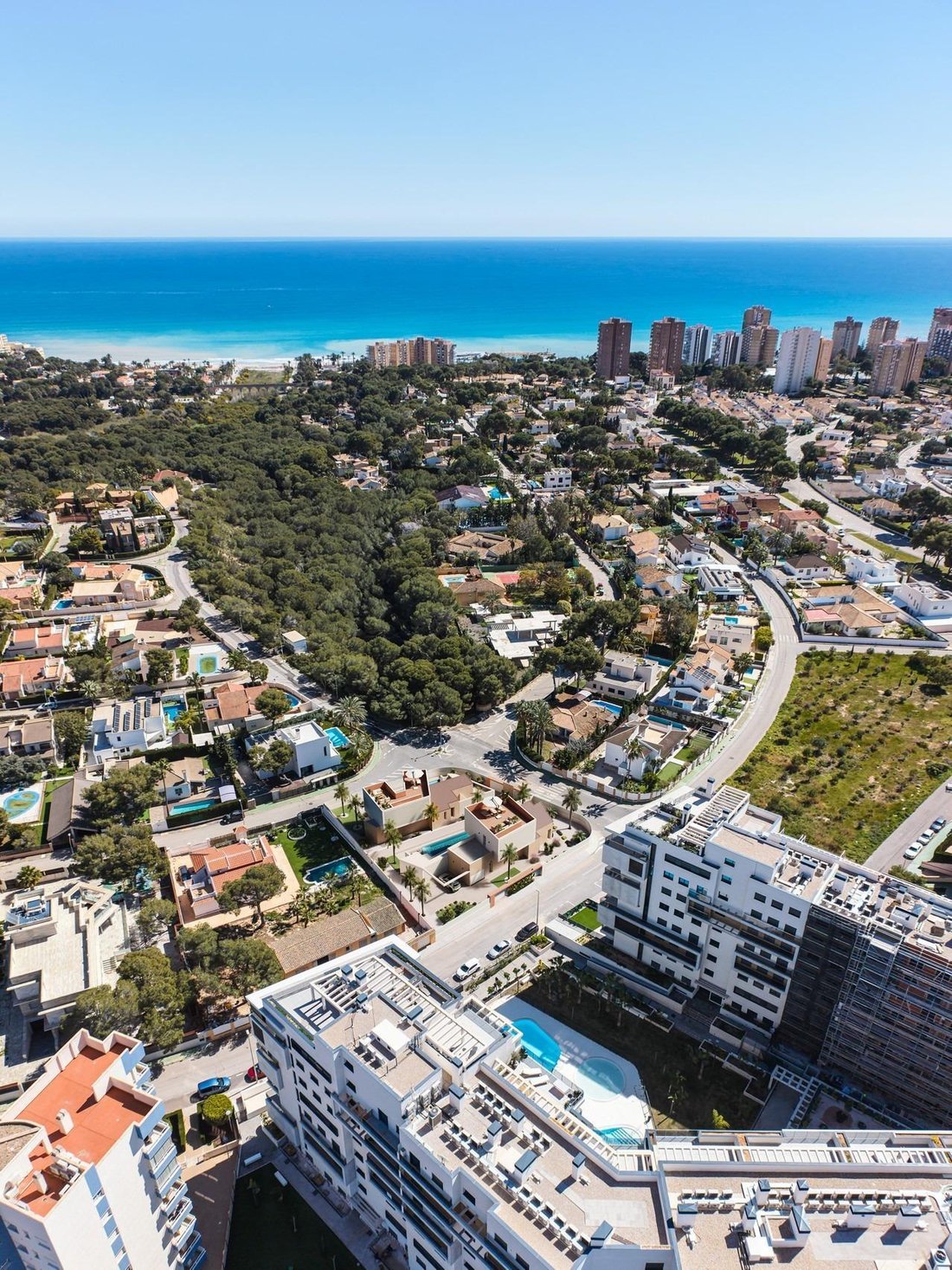 Villa in Dehesa de Campoamor, Orihuela, Valencian Community 3 - 18070246