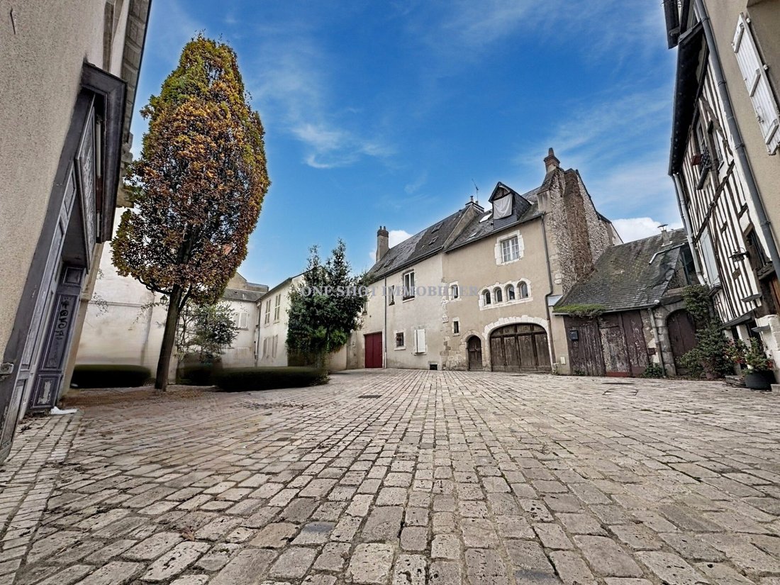 House in Bourgogne-Pasteur, Orleans, France 1 - 18078037