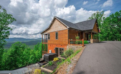 Maison à Mineral Bluff, Géorgie, États-Unis 1