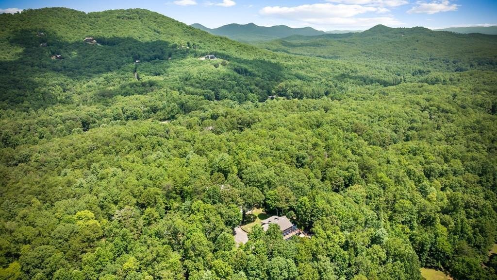 Land in Mineral Bluff, Georgia, United States 1 - 18076717
