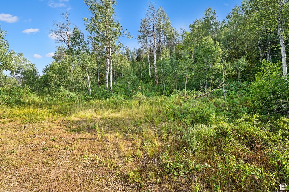 Kamas, Utah, United States 3 - 18076492
