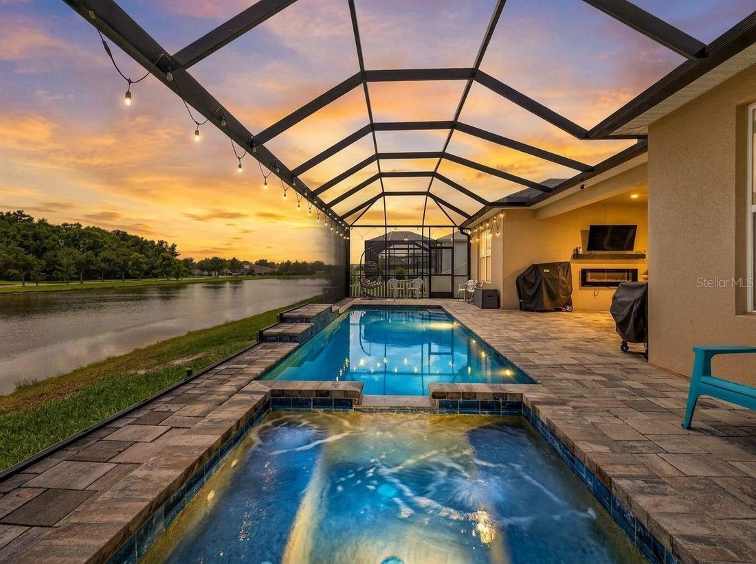 House in Wesley Chapel, Florida, United States 3 - 18075392