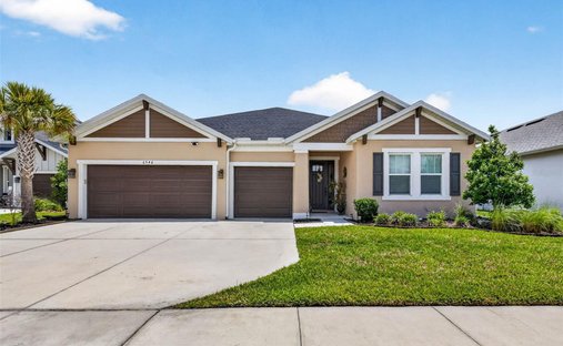 Casa a Wesley Chapel, Florida, Stati Uniti 1