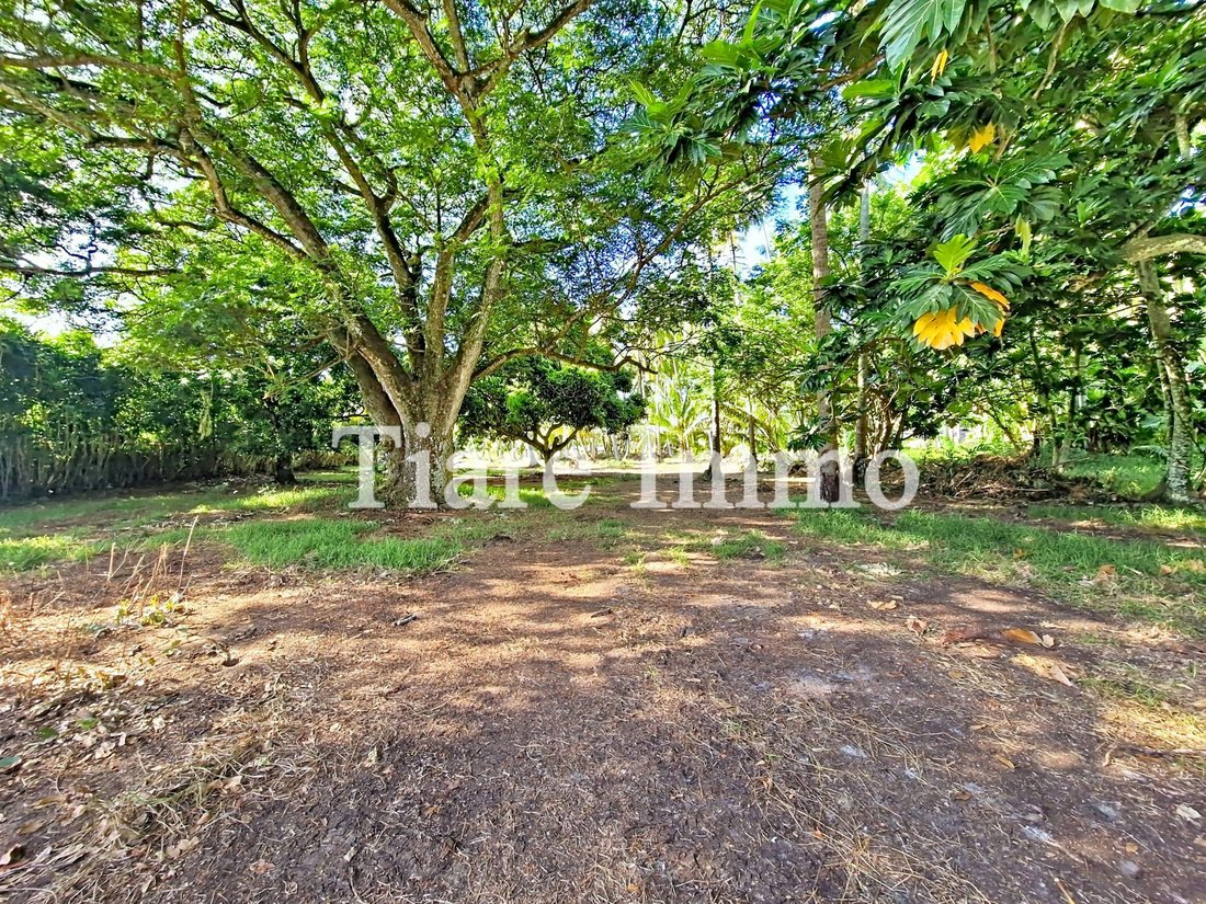 Land in Moorea-Maiao, Windward Islands, French Polynesia 2 - 16834215