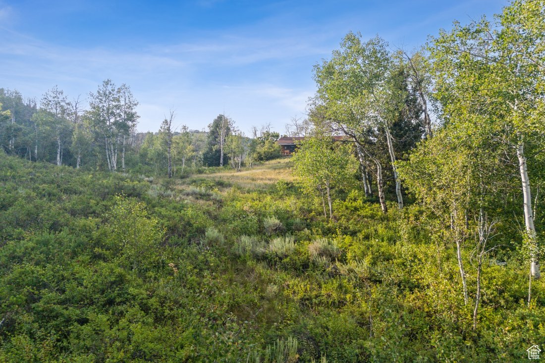 Kamas, Utah, United States 4 - 18076492