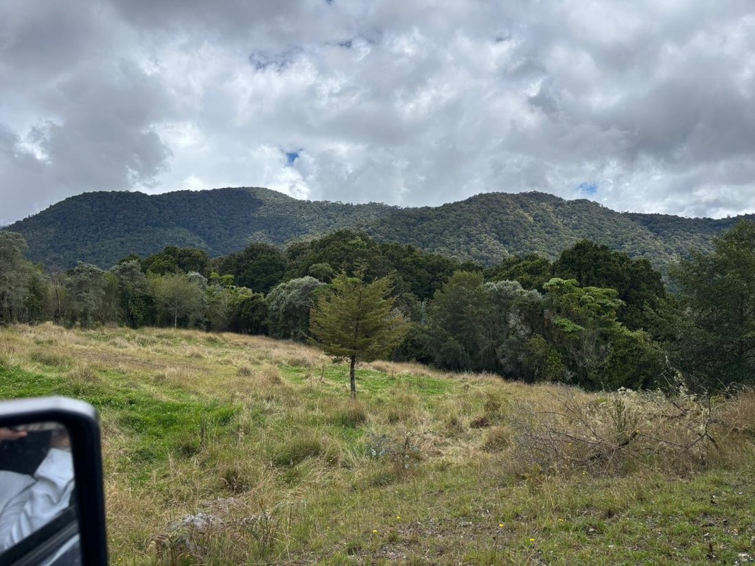 Land in Copey District, San José Province, Costa Rica 2 - 18073701