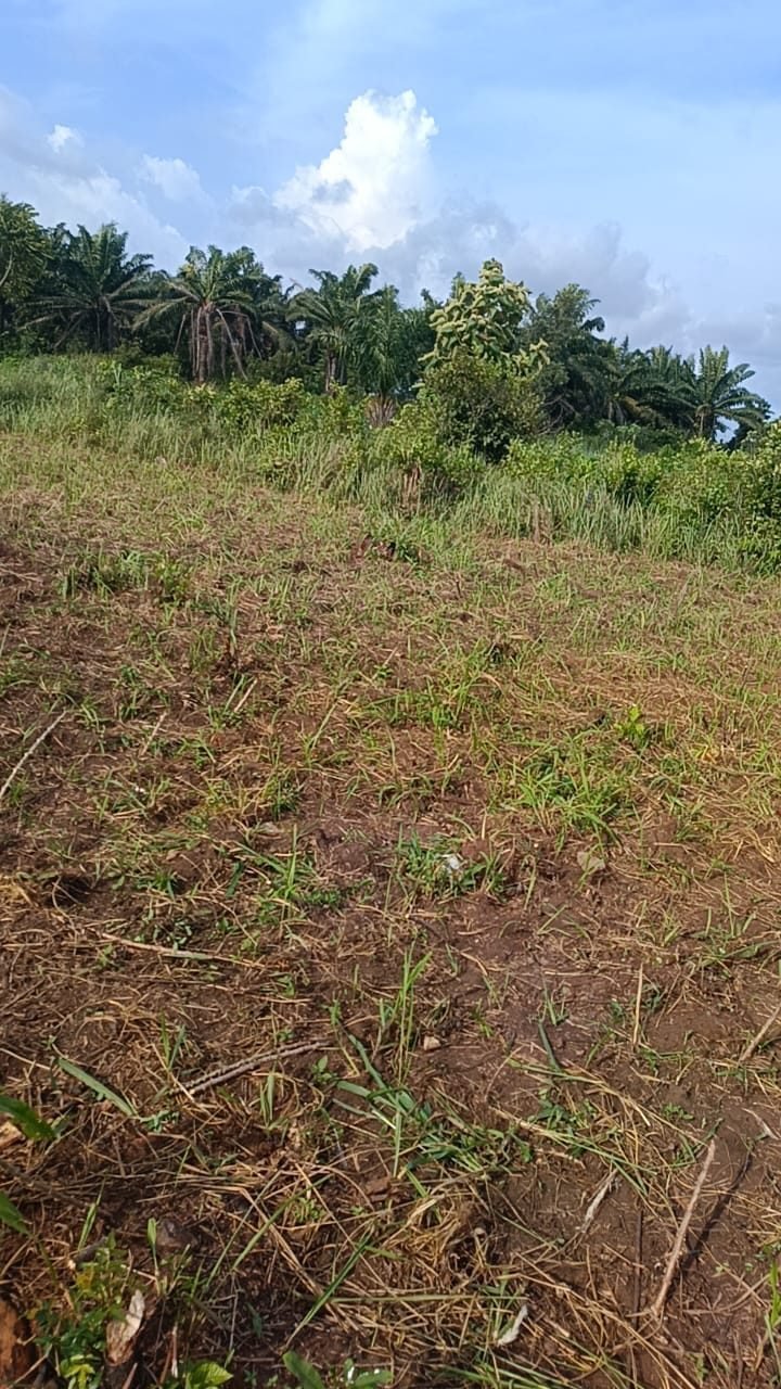 Land in Tori-bosito, Benin 5 - 18077928