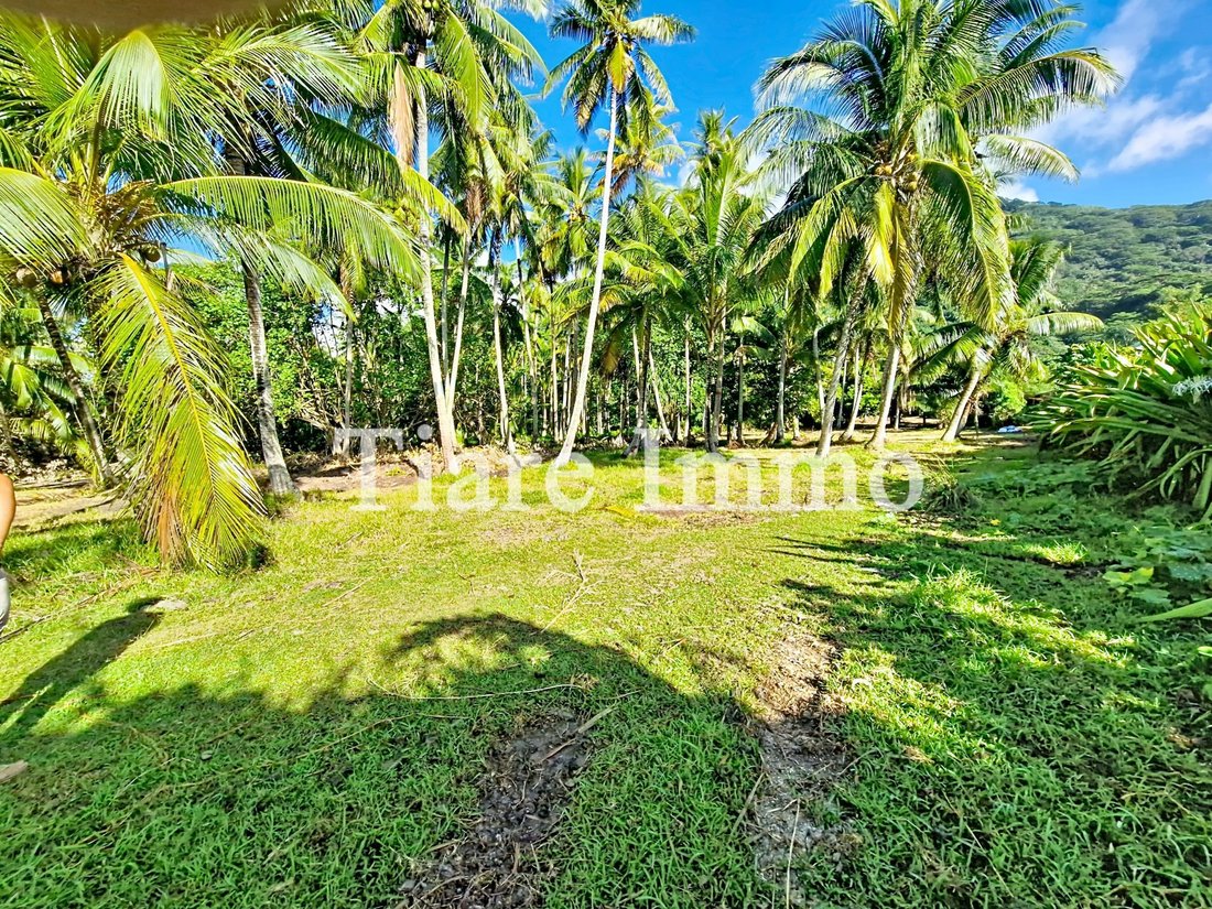 Land in Moorea-Maiao, Windward Islands, French Polynesia 4 - 16834215