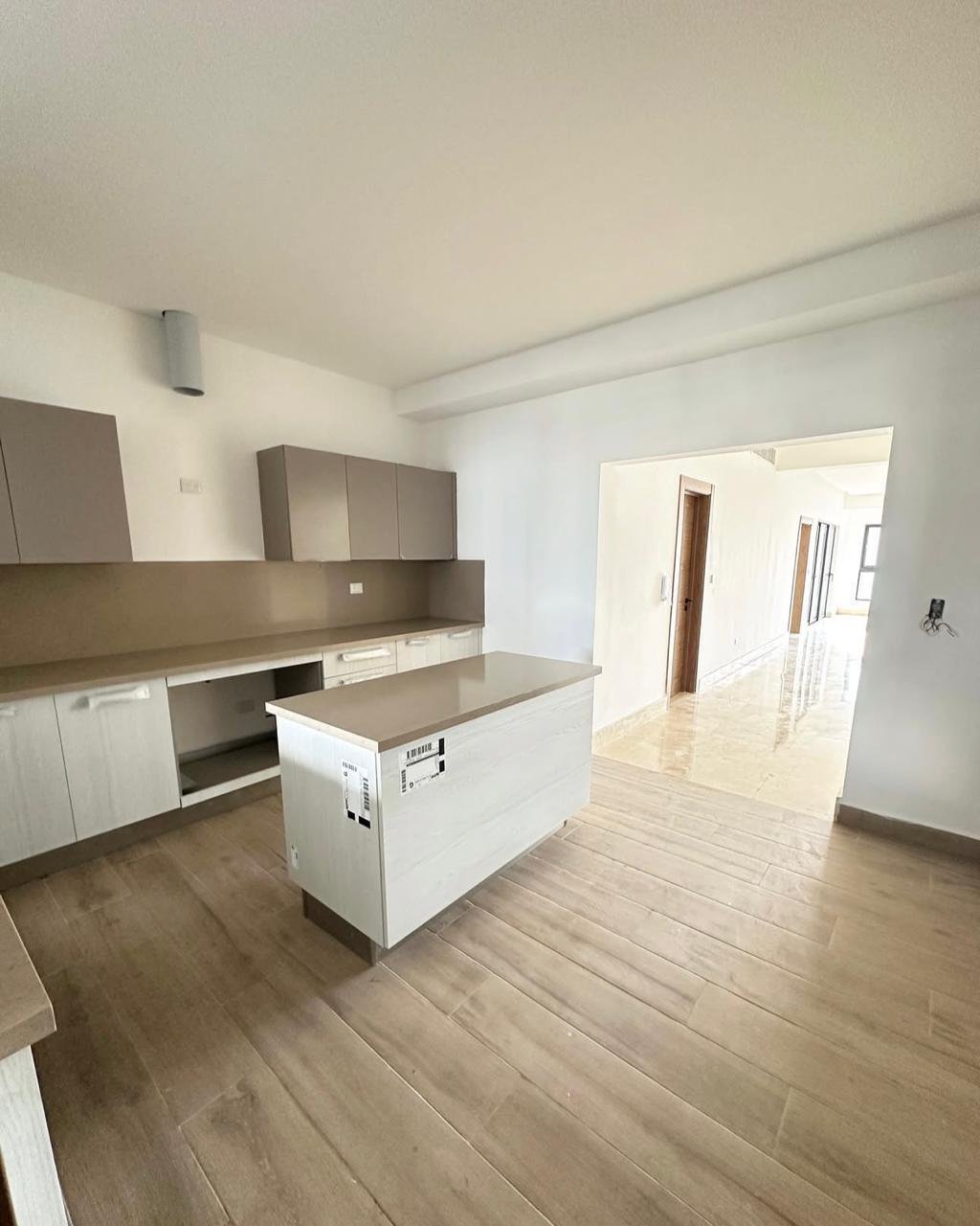 Apartment in Santo Domingo, Distrito Nacional, Dominican Republic 4 - 18076673