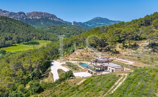 Villa in Beaumes-de-Venise, Provence-Alpes-Côte d'Azur, France 1