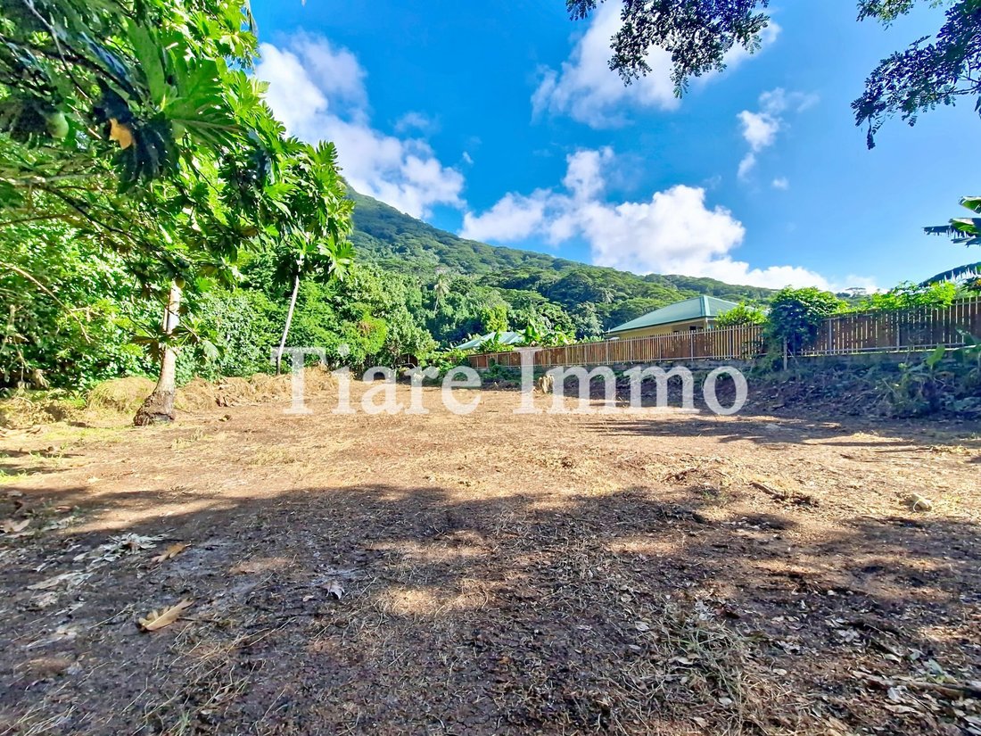 Land in Moorea-Maiao, Windward Islands, French Polynesia 1 - 16834215