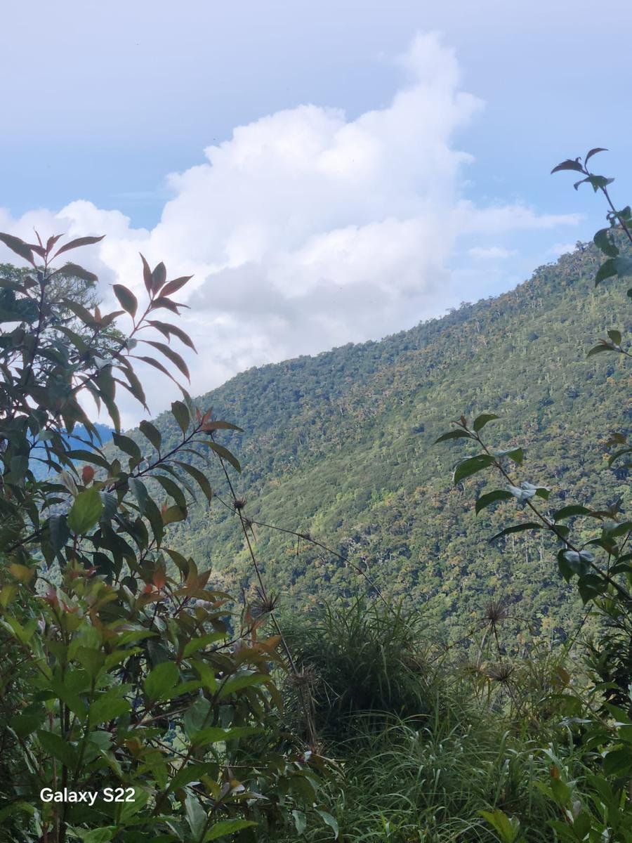 Land in Copey District, San José Province, Costa Rica 5 - 18073701