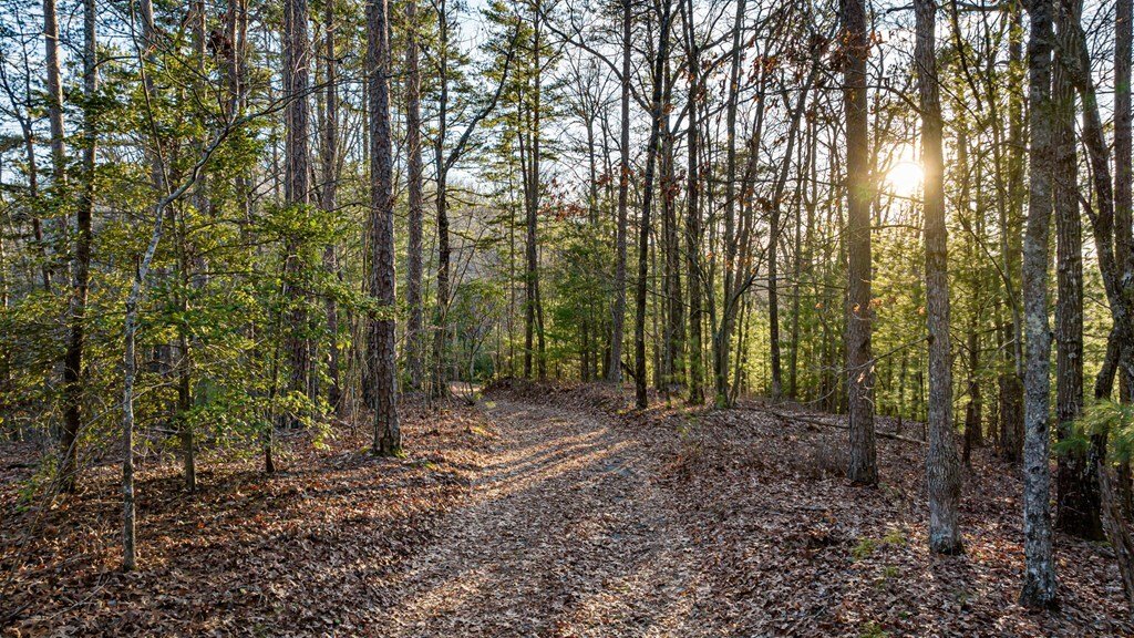 Land in Mineral Bluff, Georgia, United States 3 - 18076717