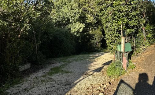 Land in Rayol-Canadel-sur-Mer, Provence-Alpes-Côte d'Azur, France 1