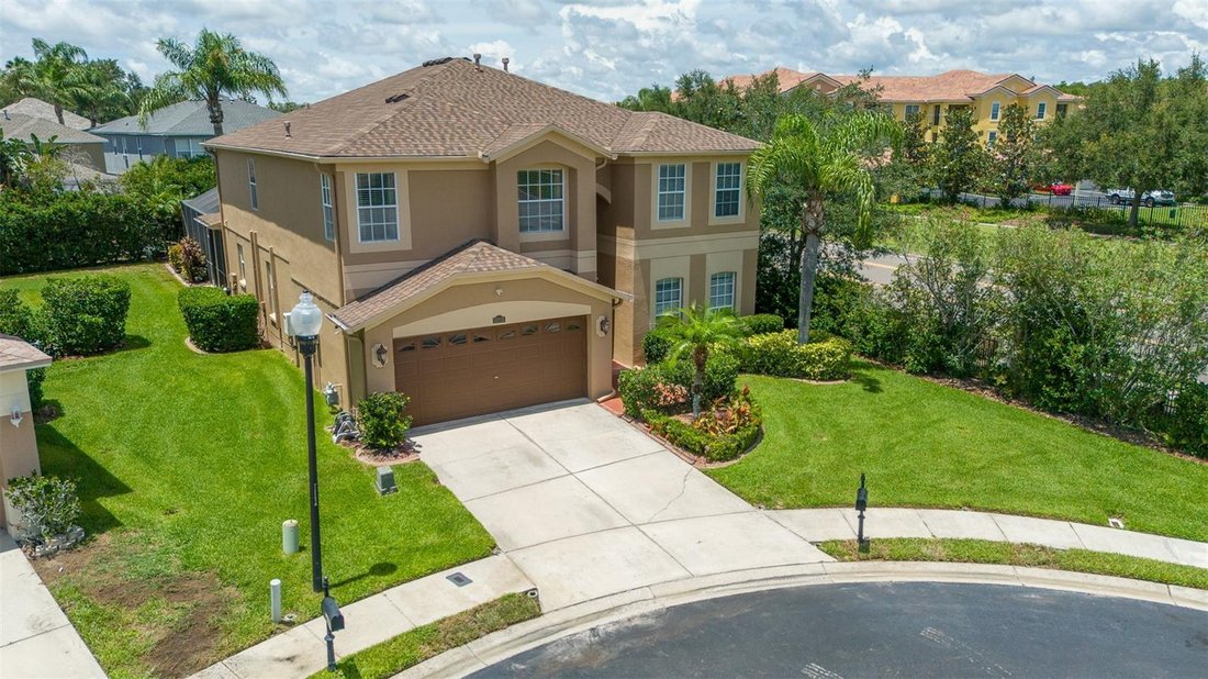 House in Trinity, Florida, United States 1 - 18078441