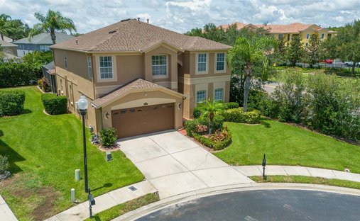 House in Trinity, Florida, United States 1
