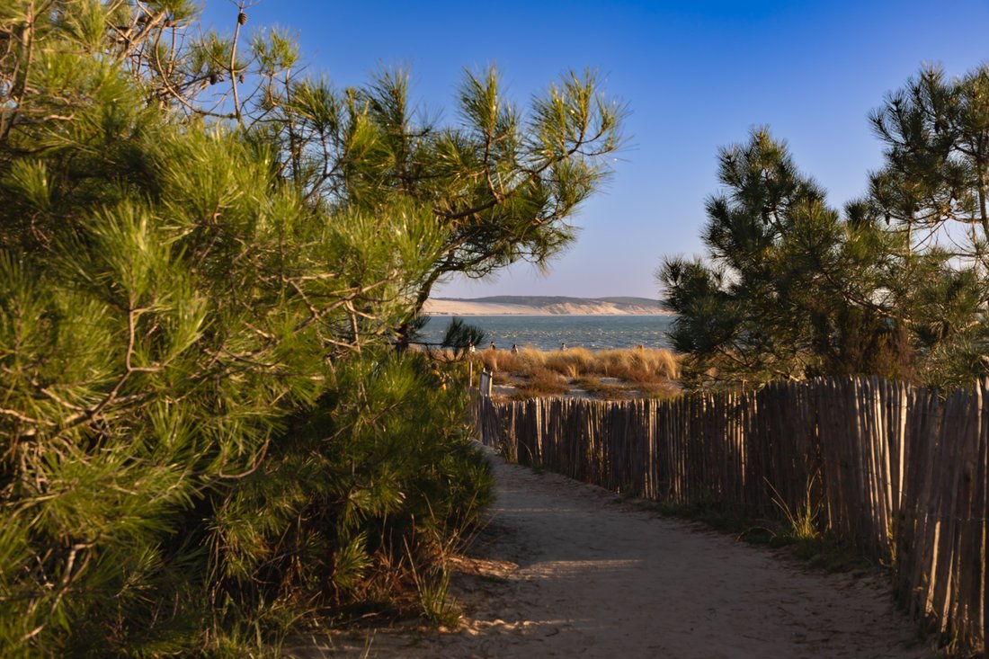 Villa in Centre Cap Ferret, Lège-Cap-Ferret, France 2 - 18075411