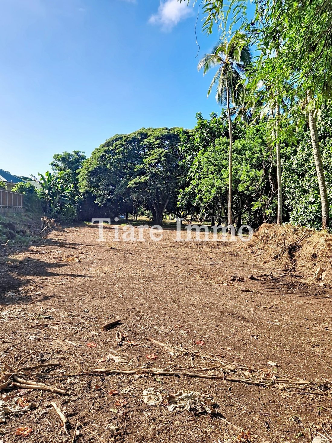 Land in Moorea-Maiao, Windward Islands, French Polynesia 3 - 16834215