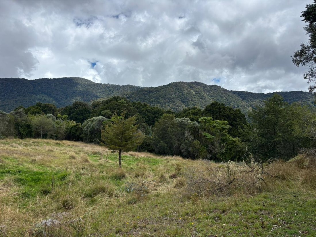 Land in Copey District, San José Province, Costa Rica 3 - 18073701