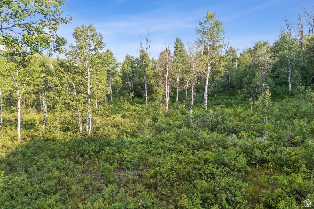 Kamas, Utah, United States 5 - 18076492