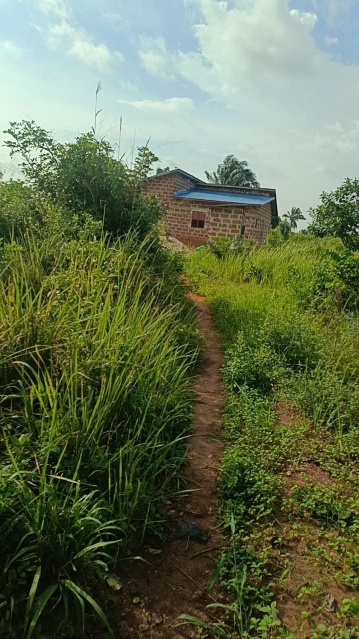 Land in Tori-bosito, Benin 1 - 18077928