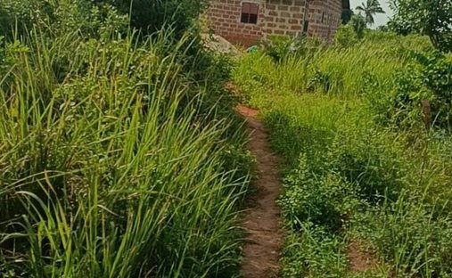 Land in Tori-bosito, Benin 1