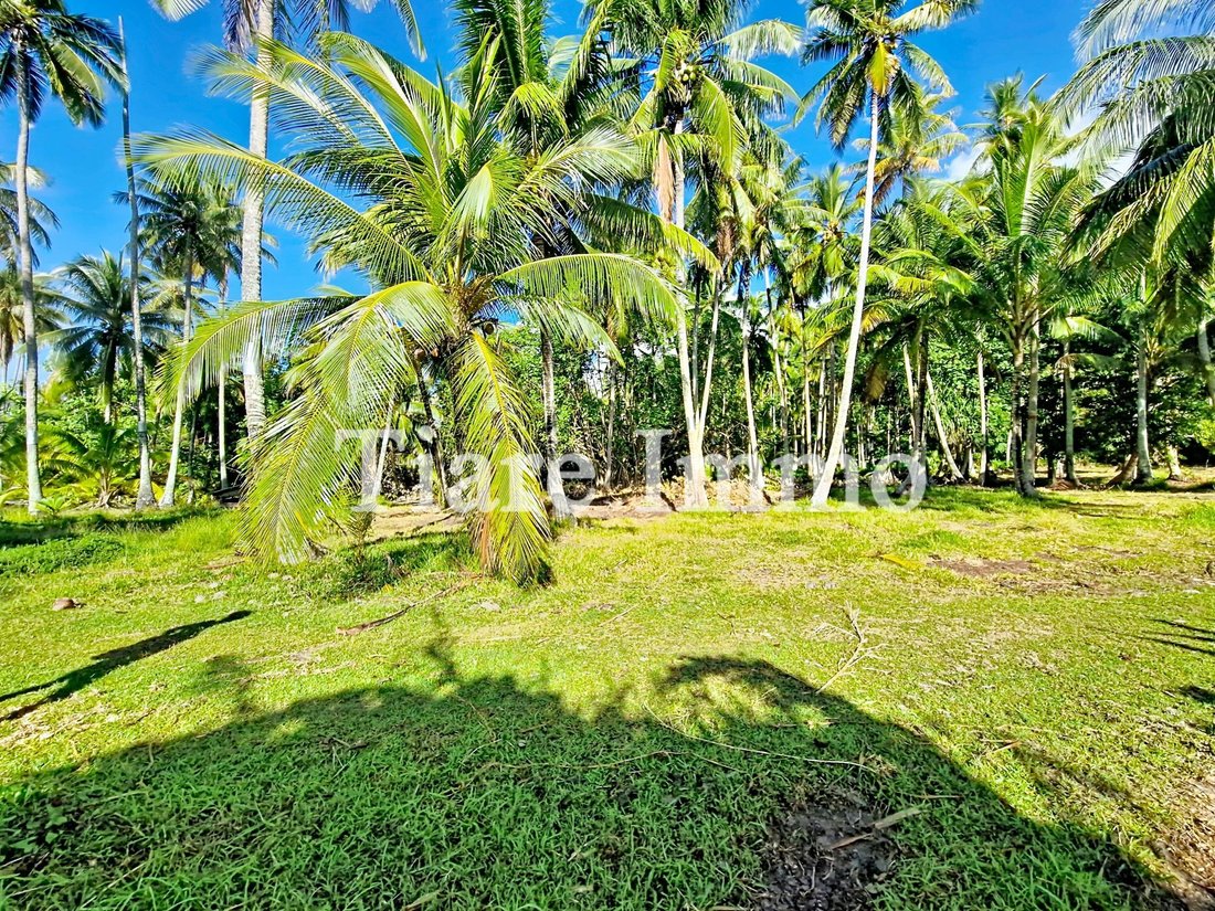 Terreno en Moorea-Maiao, Islas de Barlovento, Polinesia Francesa 1 - 16834215