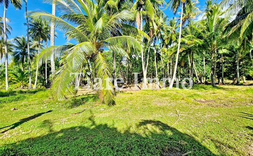 Land in Moorea-Maiao, Inseln über dem Winde, Französisch-Polynesien 1