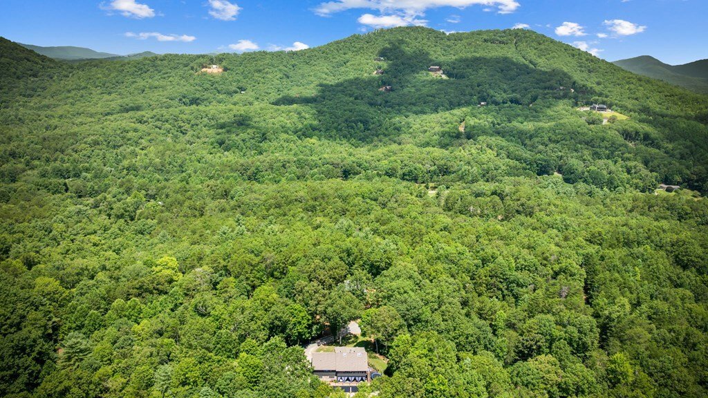 Land in Mineral Bluff, Georgia, United States 4 - 18076717