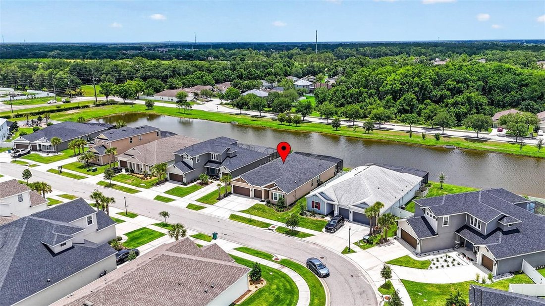 House in Wesley Chapel, Florida, United States 5 - 18075392