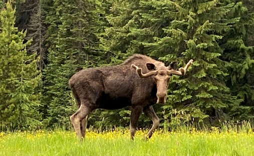 Casa a Haugan, Montana, Stati Uniti 1