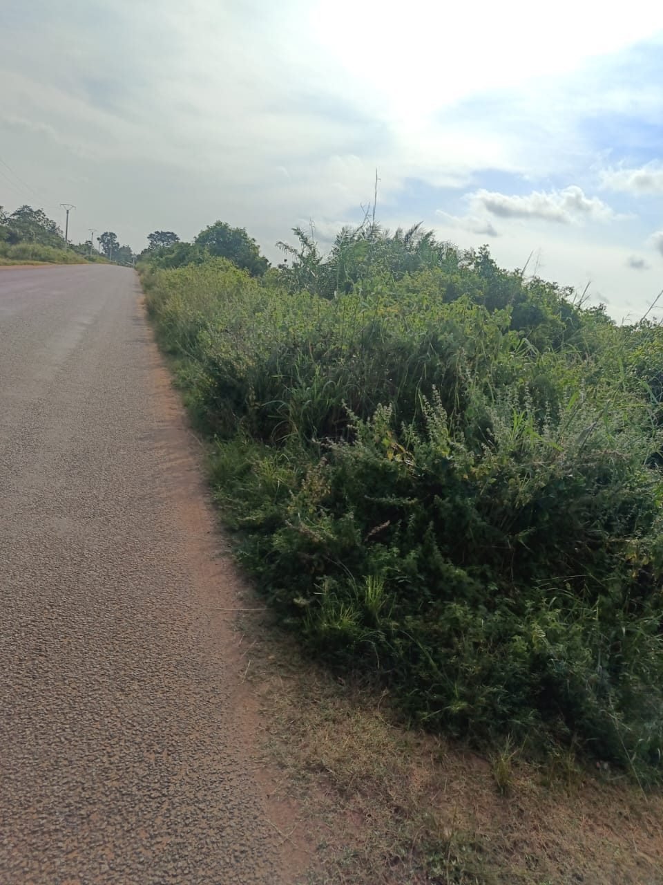 Land in Tori-bosito, Benin 4 - 18077928