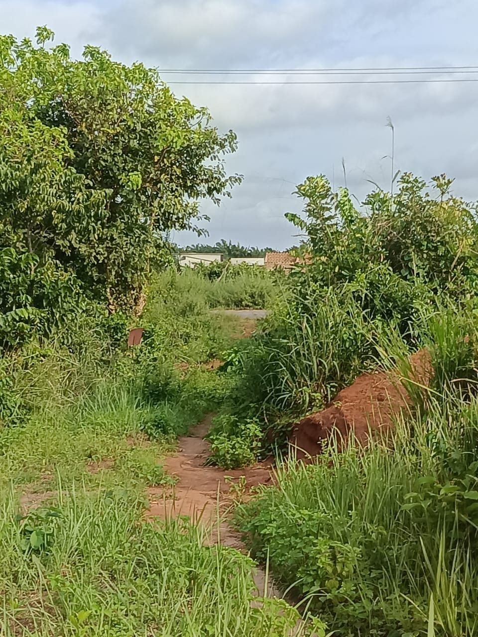 Land in Tori-bosito, Benin 2 - 18077928