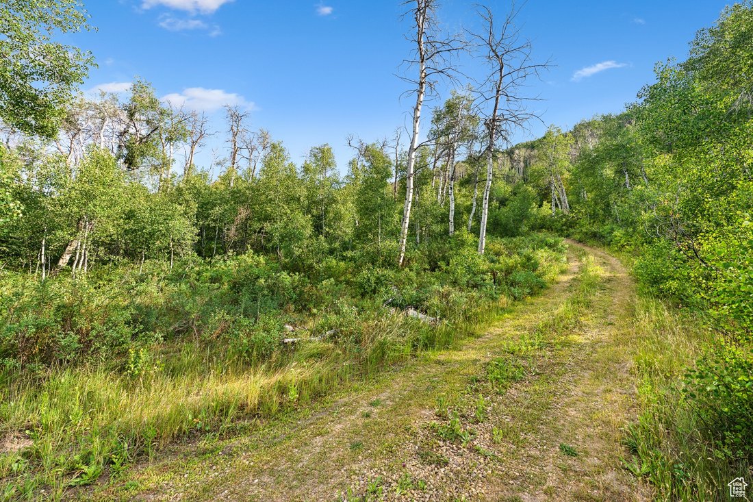 Kamas, Utah, United States 1 - 18076492